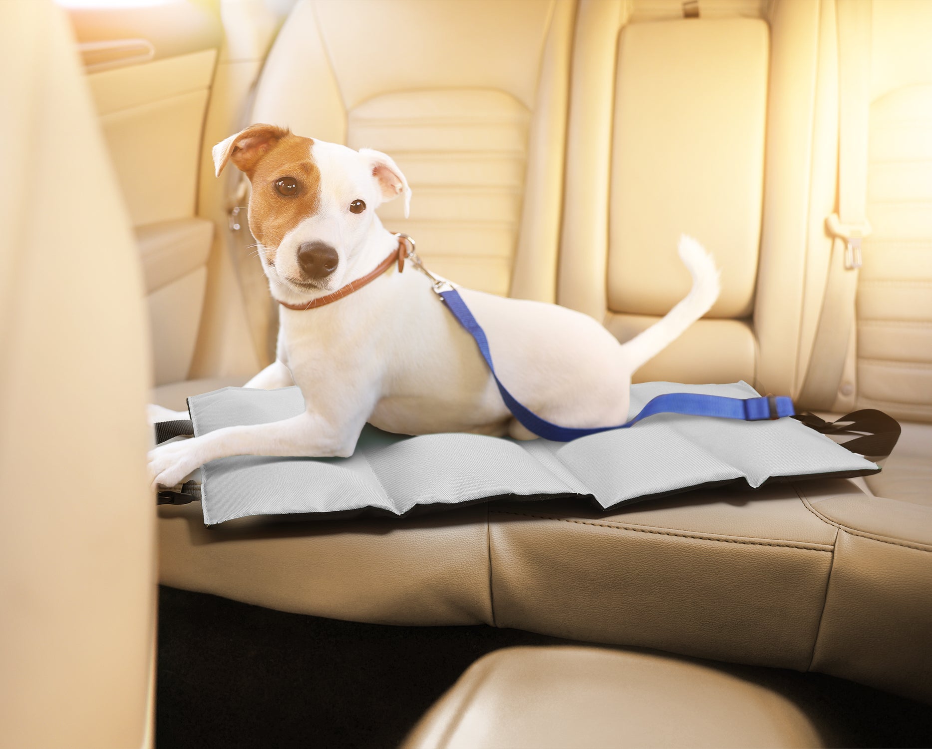 Swanoo Car Seat Cooling Pad